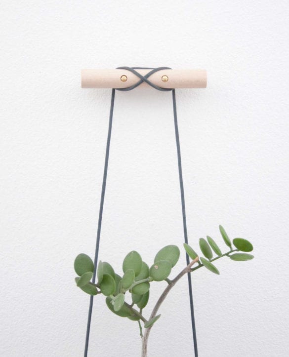 String on a wooden coat hook with a green plant in front of it